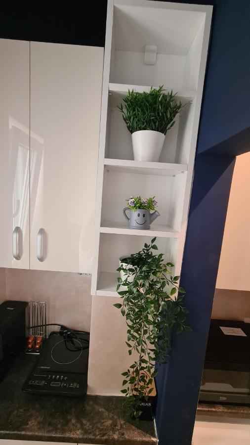 Calea Victoriei Studio By Magic Apartments Bucureşti Eksteriør bilde